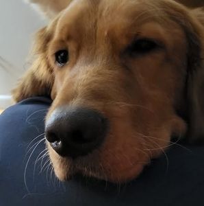 Meet your Posher, Phillip